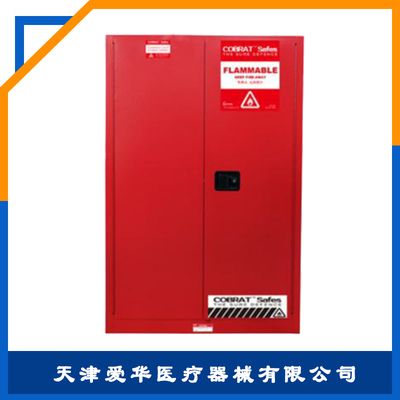 易燃及可燃安全柜